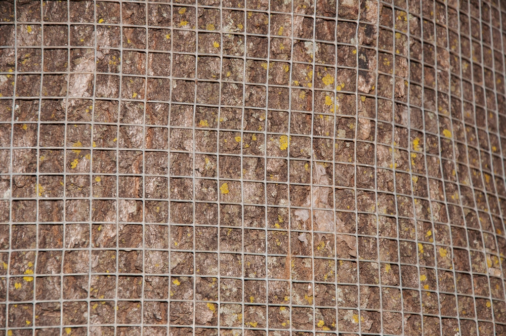 hardwire cloth
